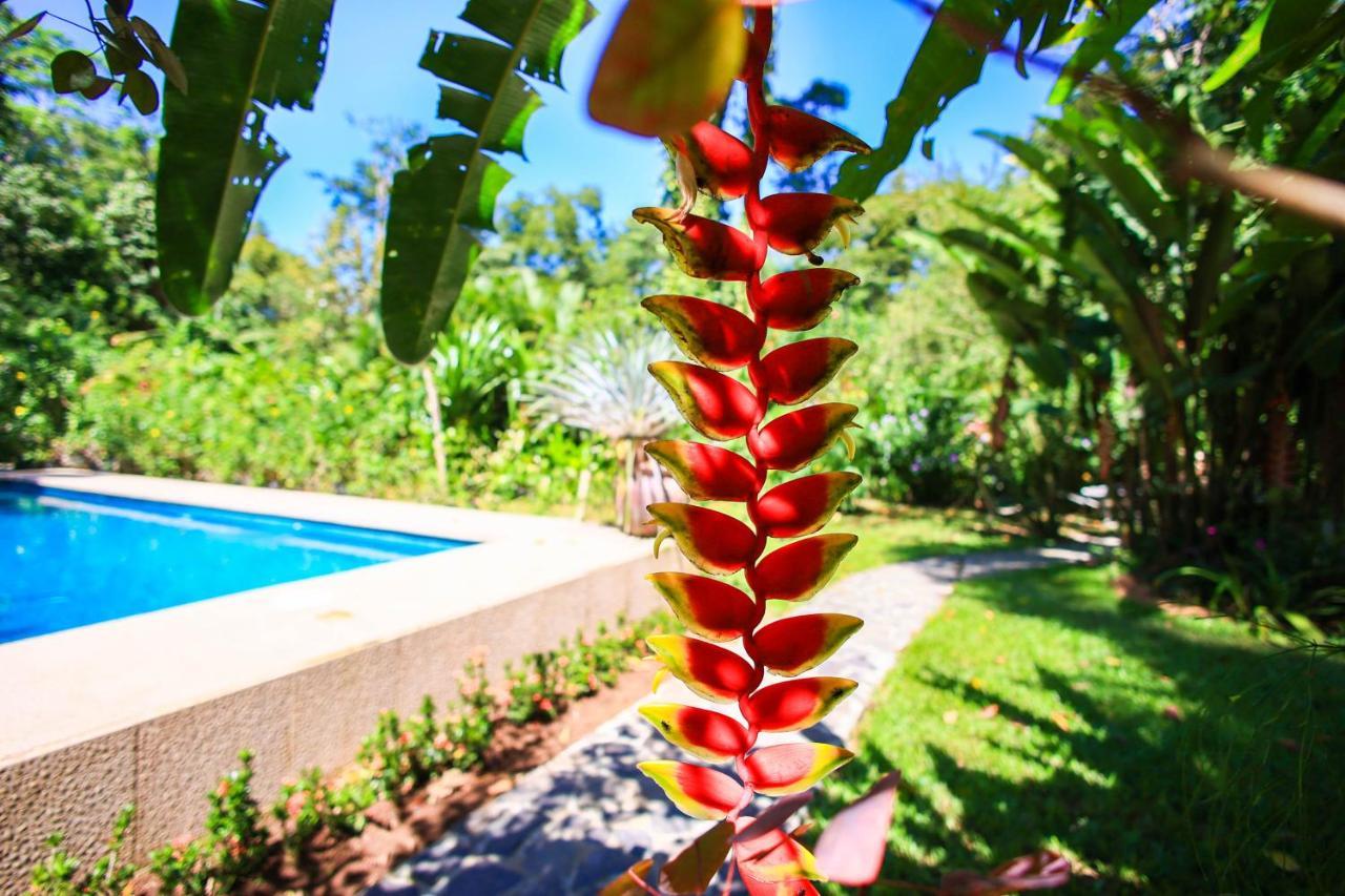 Hotel Casa Merlin Puerto Viejo de Talamanca Dış mekan fotoğraf