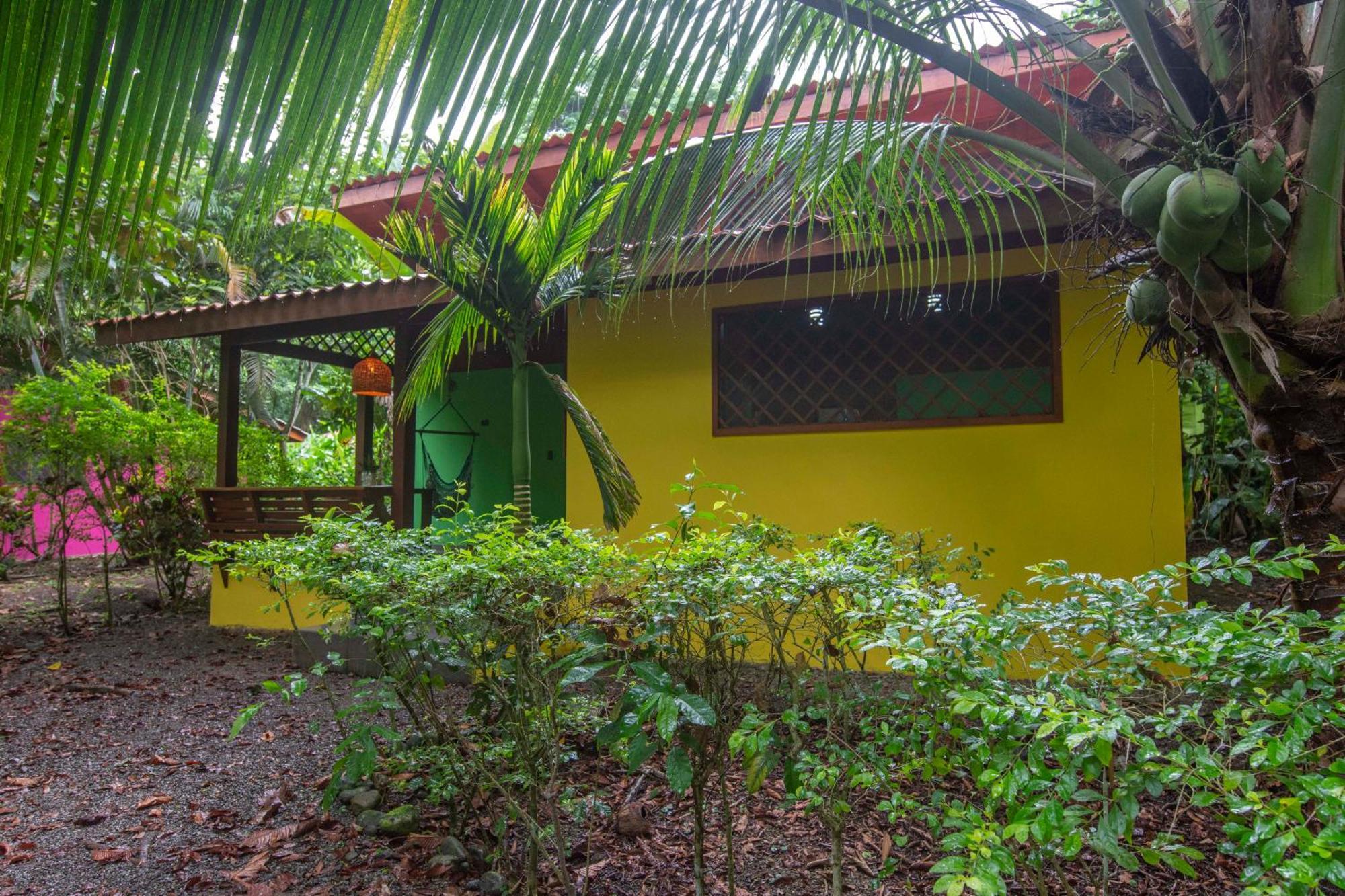 Hotel Casa Merlin Puerto Viejo de Talamanca Oda fotoğraf