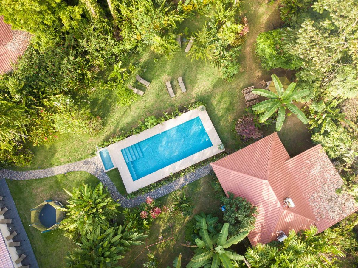 Hotel Casa Merlin Puerto Viejo de Talamanca Dış mekan fotoğraf