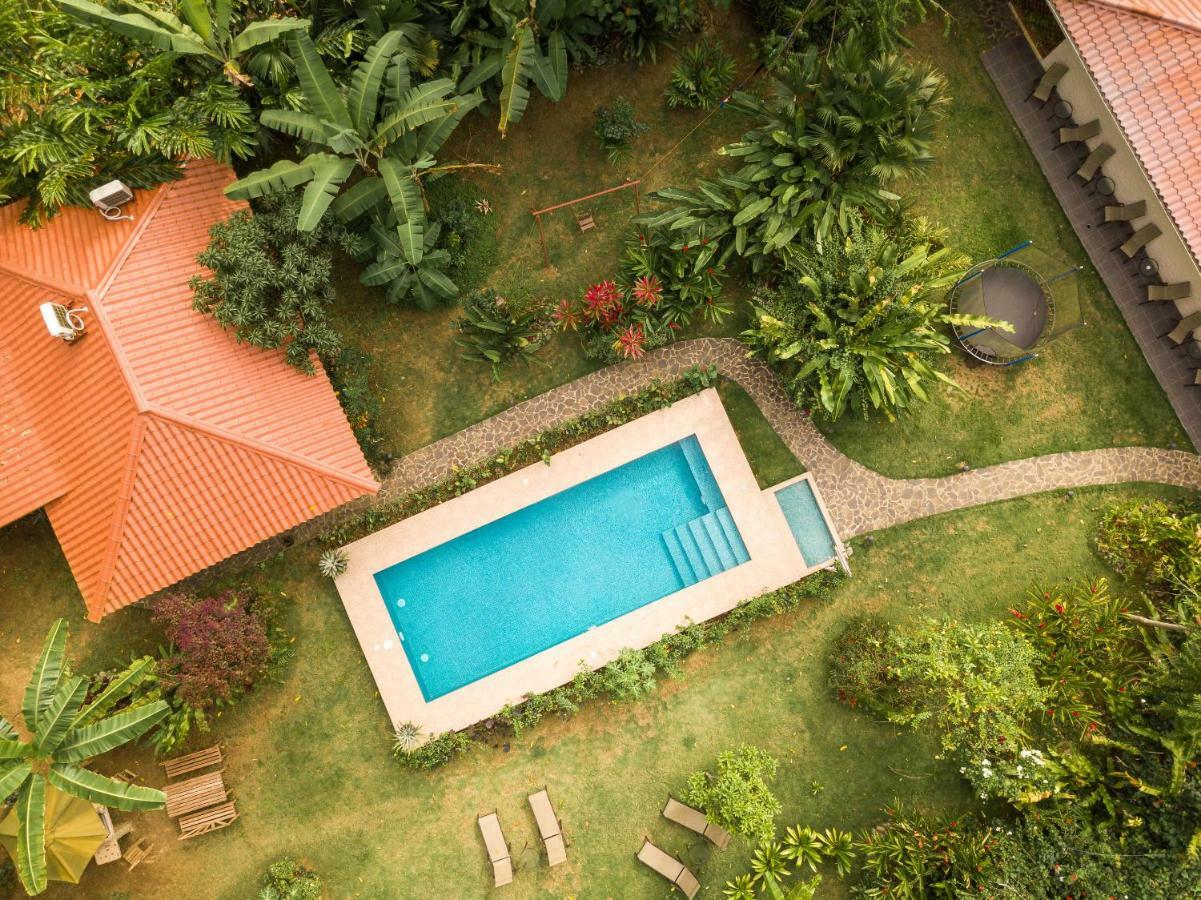 Hotel Casa Merlin Puerto Viejo de Talamanca Dış mekan fotoğraf